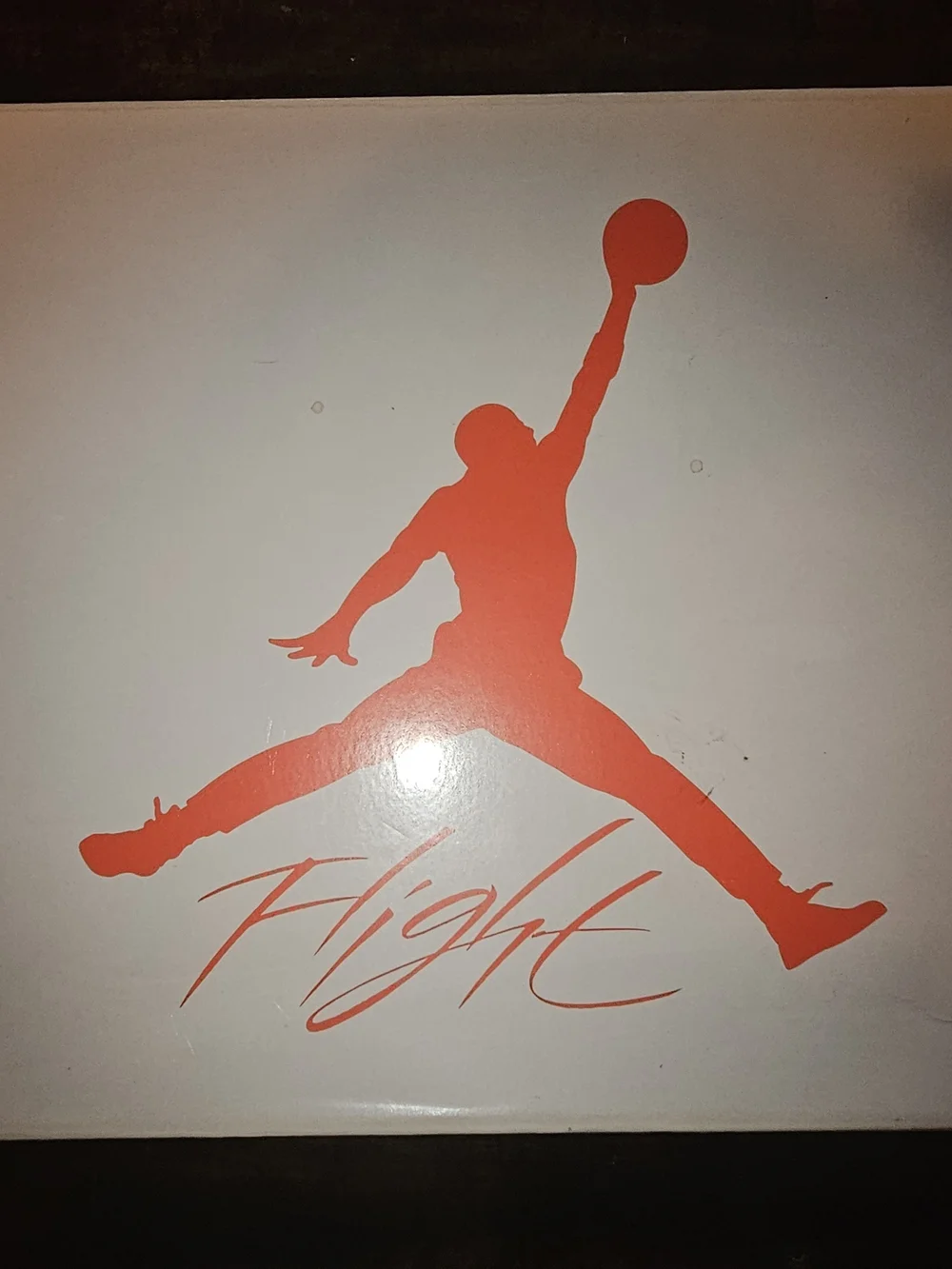 Jordan official air